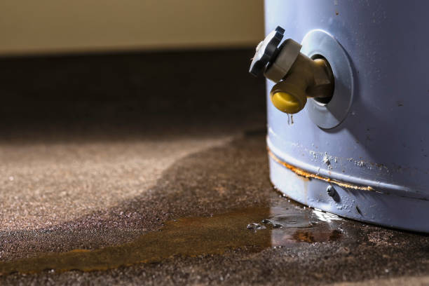 Best Mold removal after water damage  in Kersey, CO