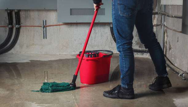 Best Water damage contractors near me  in Kersey, CO