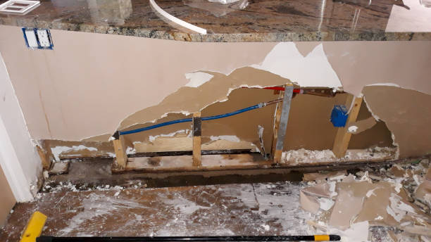 Best Ceiling water damage repair  in Kersey, CO