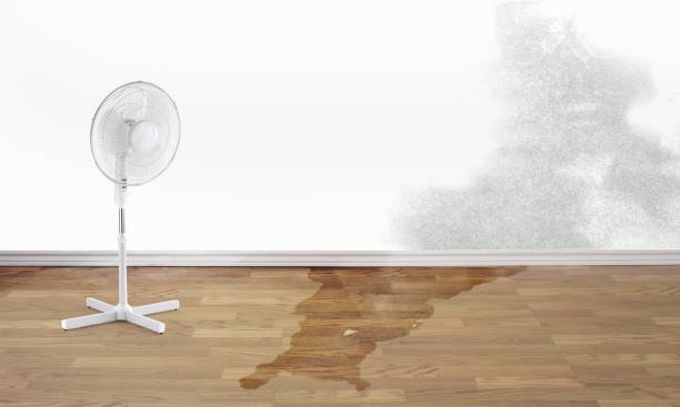 Best Water damage restoration near me  in Kersey, CO