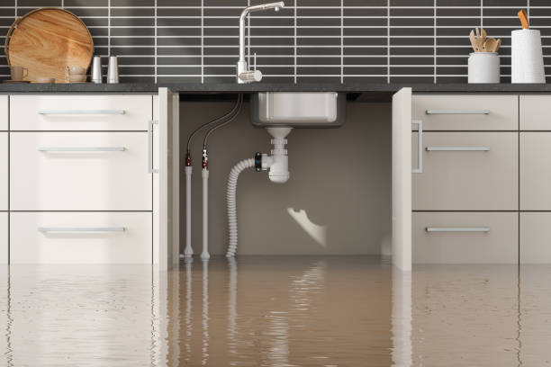 Best Residential water damage restoration  in Kersey, CO